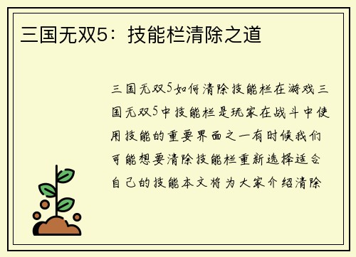 三国无双5：技能栏清除之道